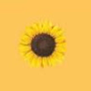 Meet your Posher, Aly